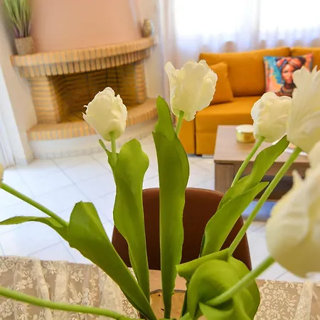 Aelia Luxury Melissi 아파트 *
